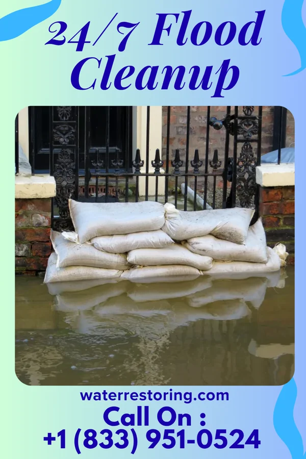 24/7 Flood Cleanup in Greenwood, DE