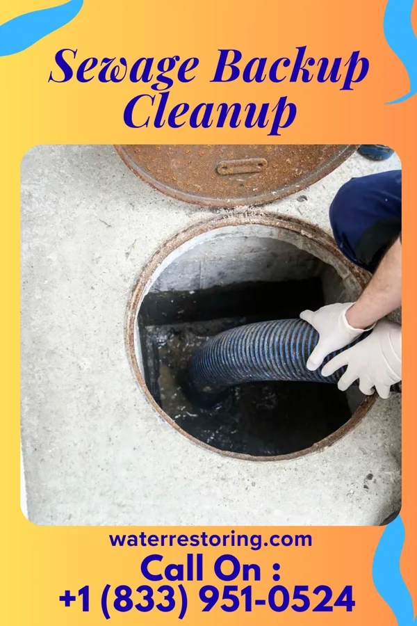 Sewage Backup Cleanup in Greenwood, DE